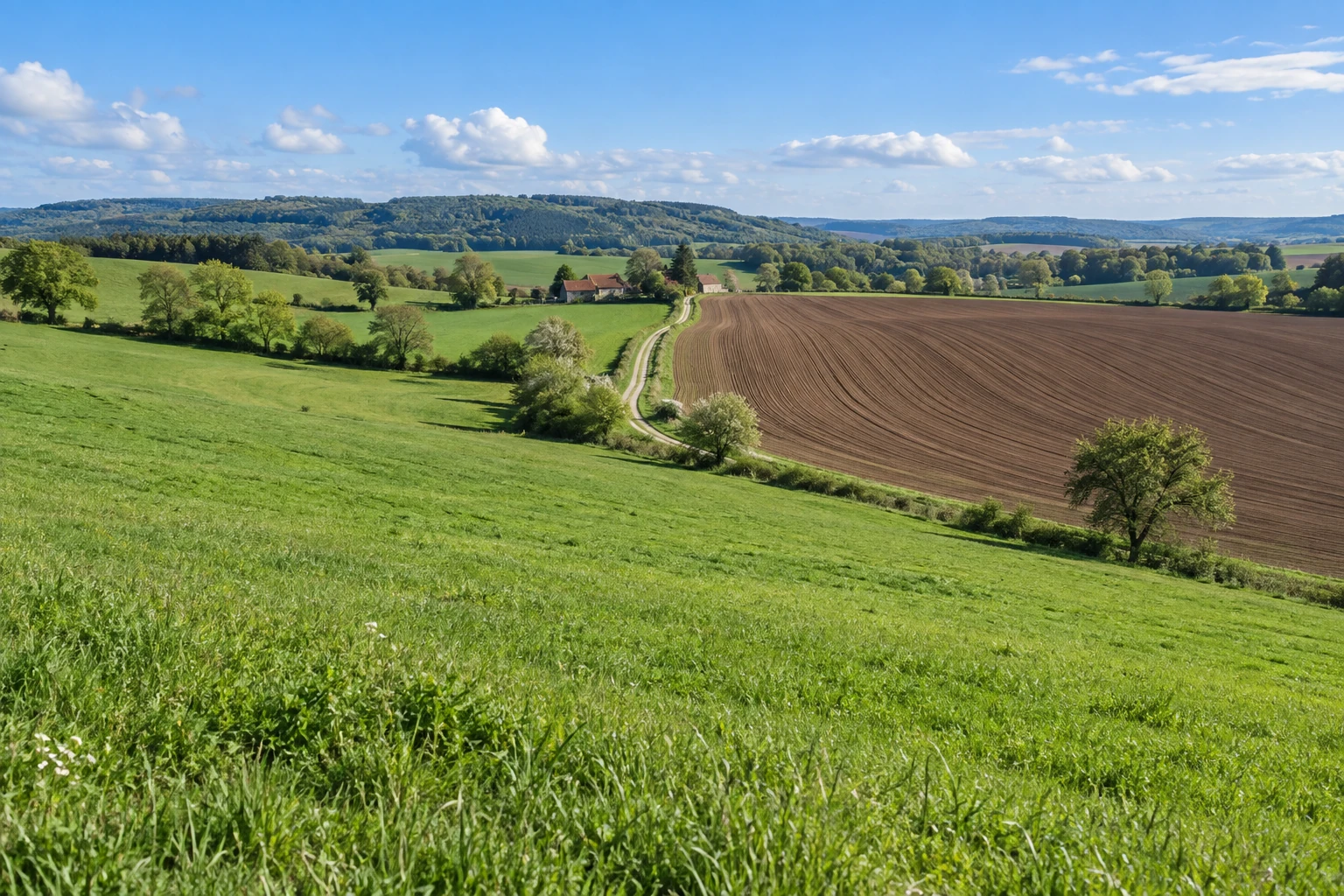 Larger rural landholding with farmstead, fields and meadows